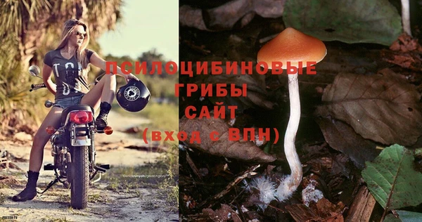 гидропоника Наволоки