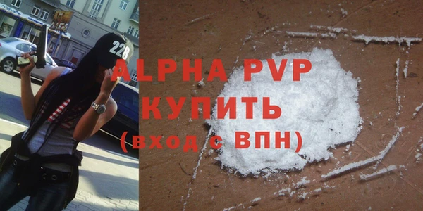 стаф Надым
