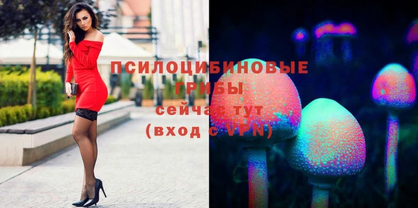 стаф Надым
