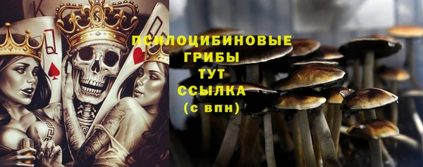 стаф Надым