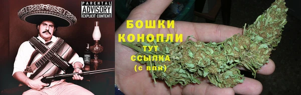 стаф Надым