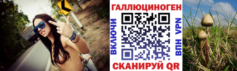 Купить  Иваново  Псилоцибиновые грибы Psilocybe